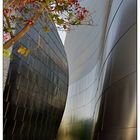 Disney Concert Hall