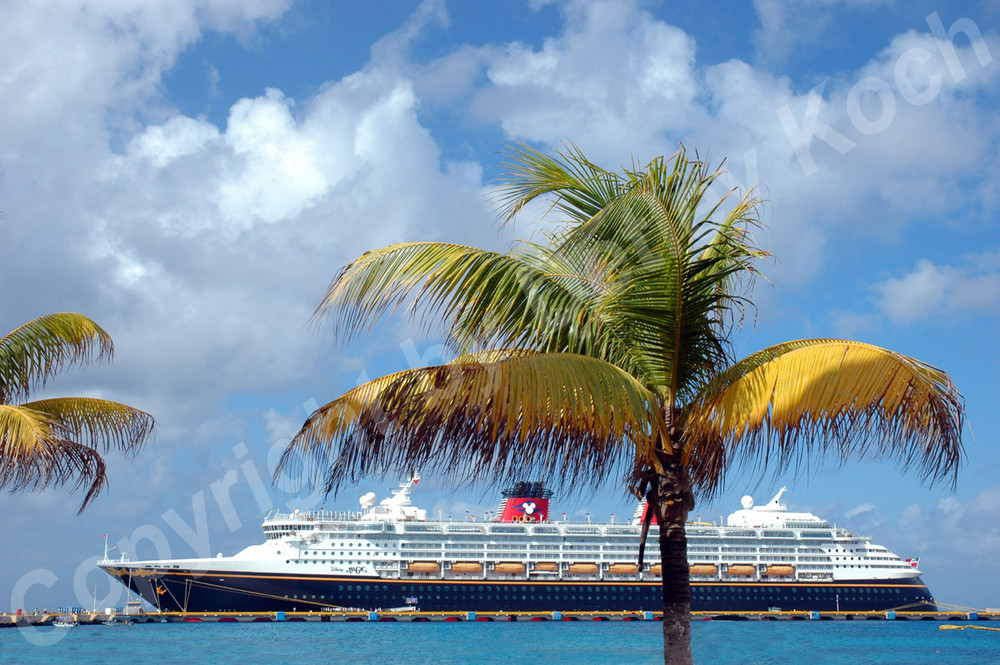 Disney Cruises