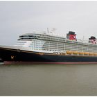 Disney Dream