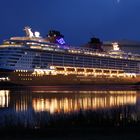 Disney Dream-noch Zuhause