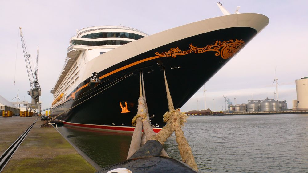 "Disney Dream" wurde heute überführt nach Eemshaven/Holland (1)