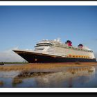 Disney FANTASY