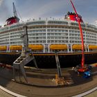 Disney Fantasy