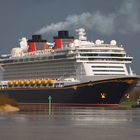 -Disney Fantasy-