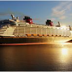 Disney Fantasy ... sie ist unterwegs , das Erste