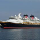 DISNEY MAGIC