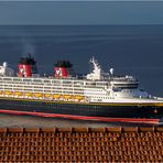 Disney Magic