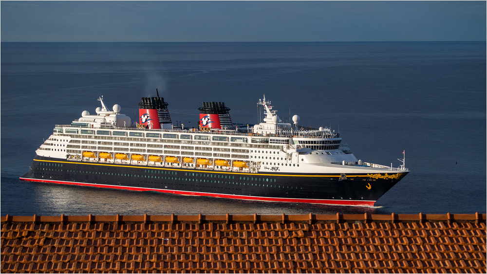 Disney Magic