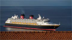 Disney Magic