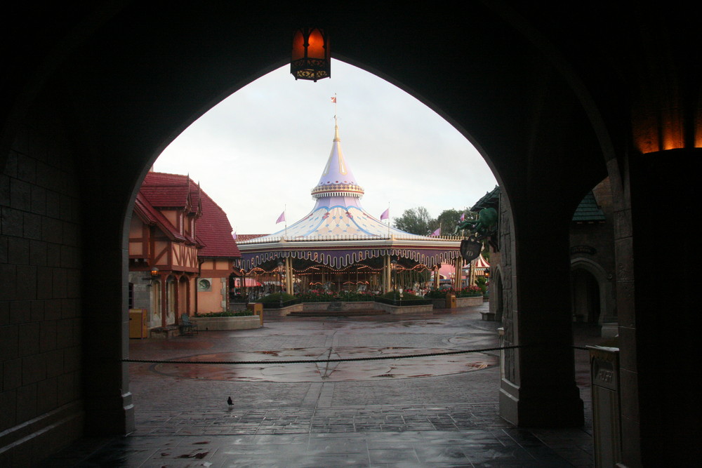 Disney Magic kingdom