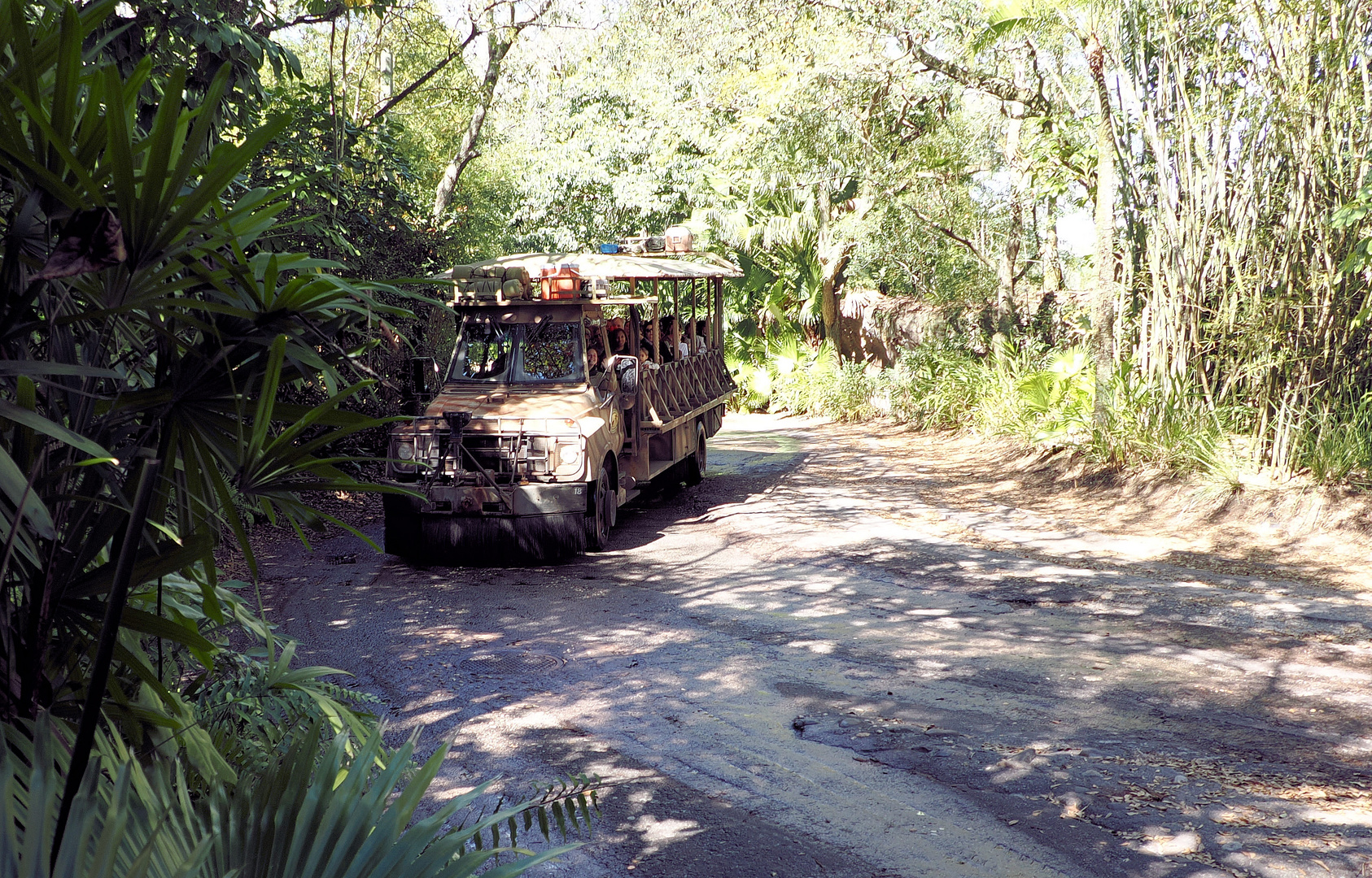 Disney Safari…