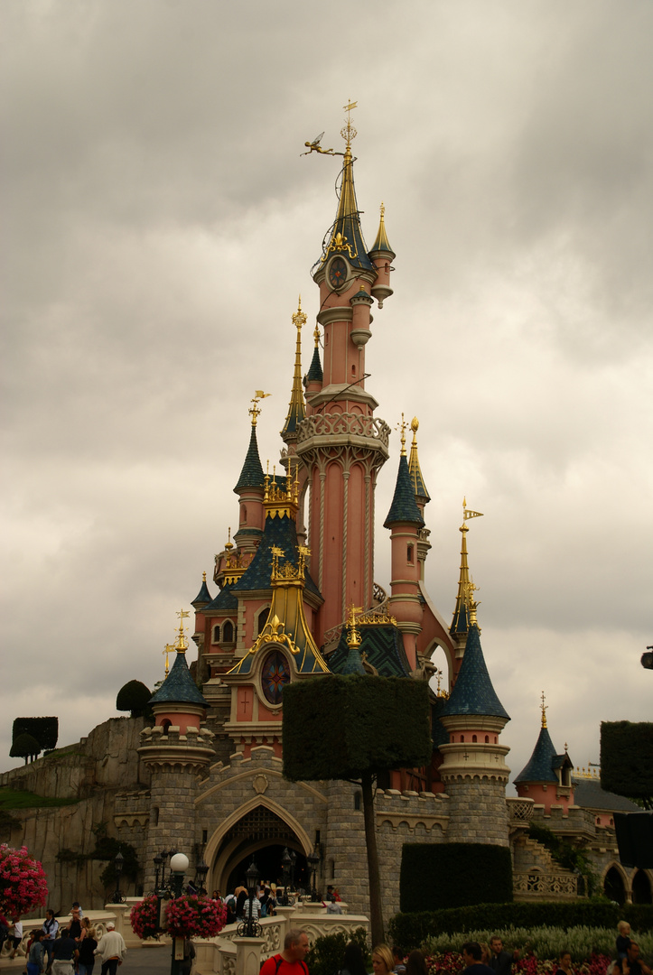 Disney Schloss