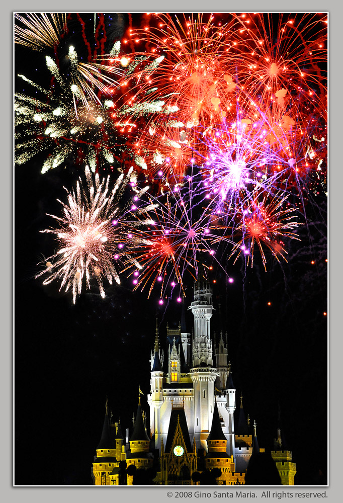 Disney World During Fireworks