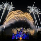 Disneyland firework 2
