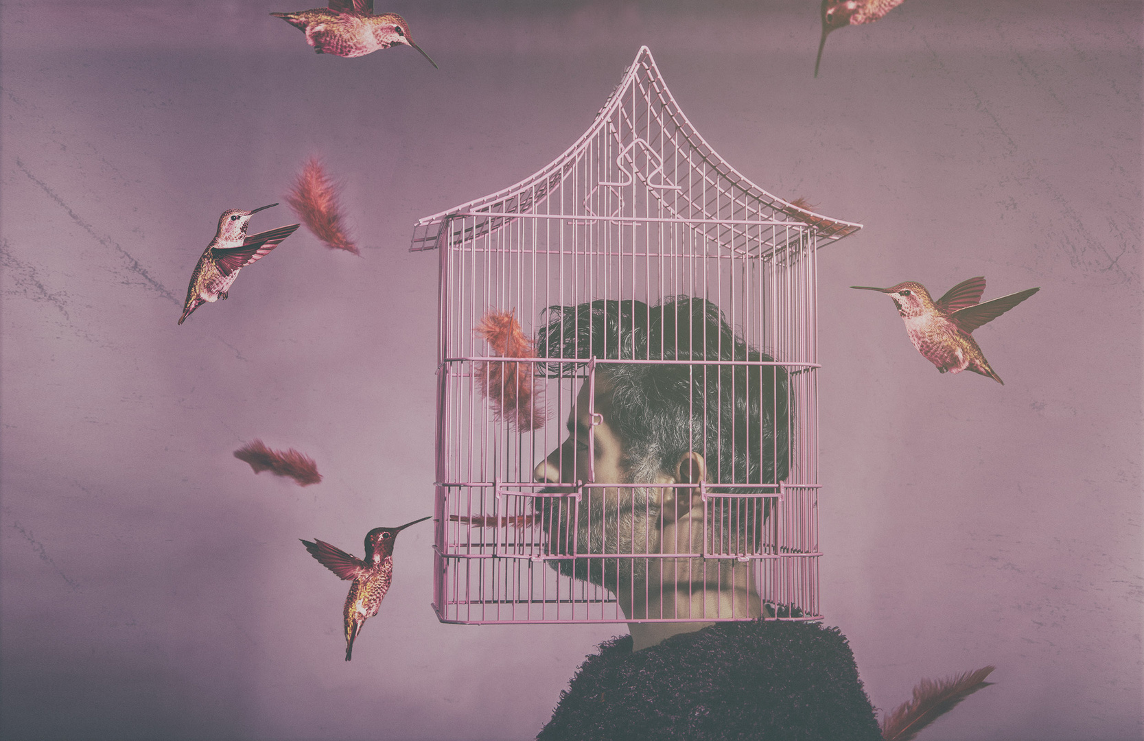 Disorder bird, caged.