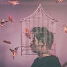 Disorder bird, caged.