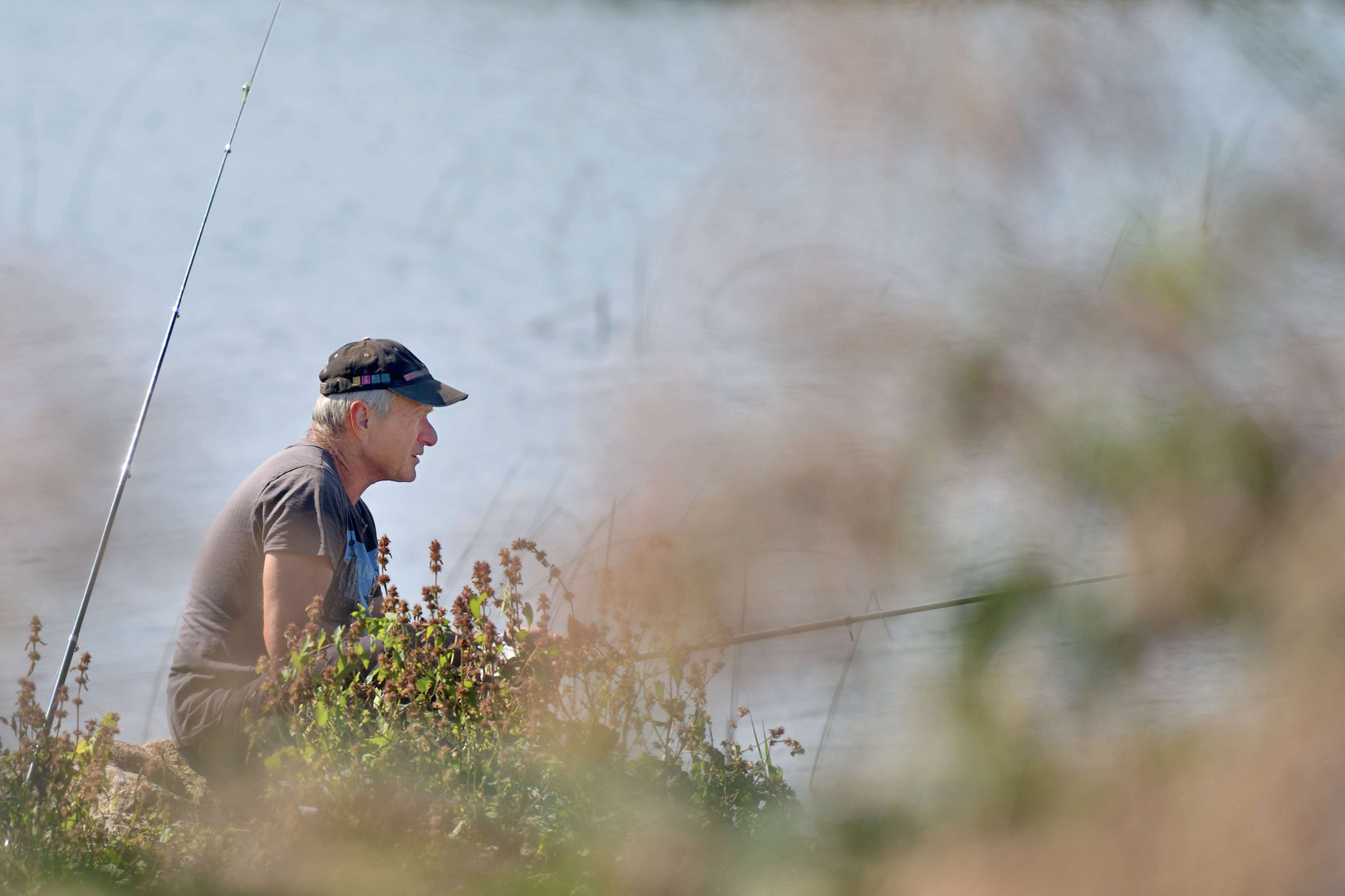 Dissimulé derrrière les buissons : un pêcheur ...