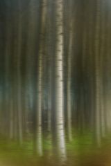 Dissolve