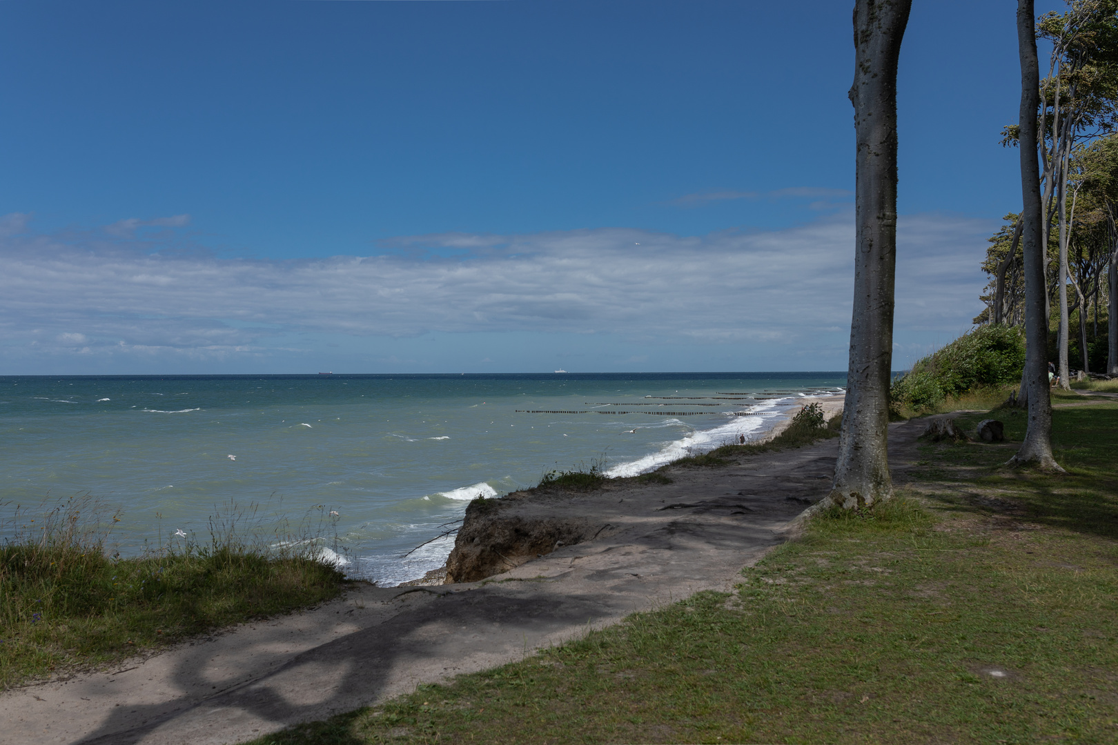 Distant Ships on the Horizon