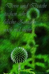 Distel