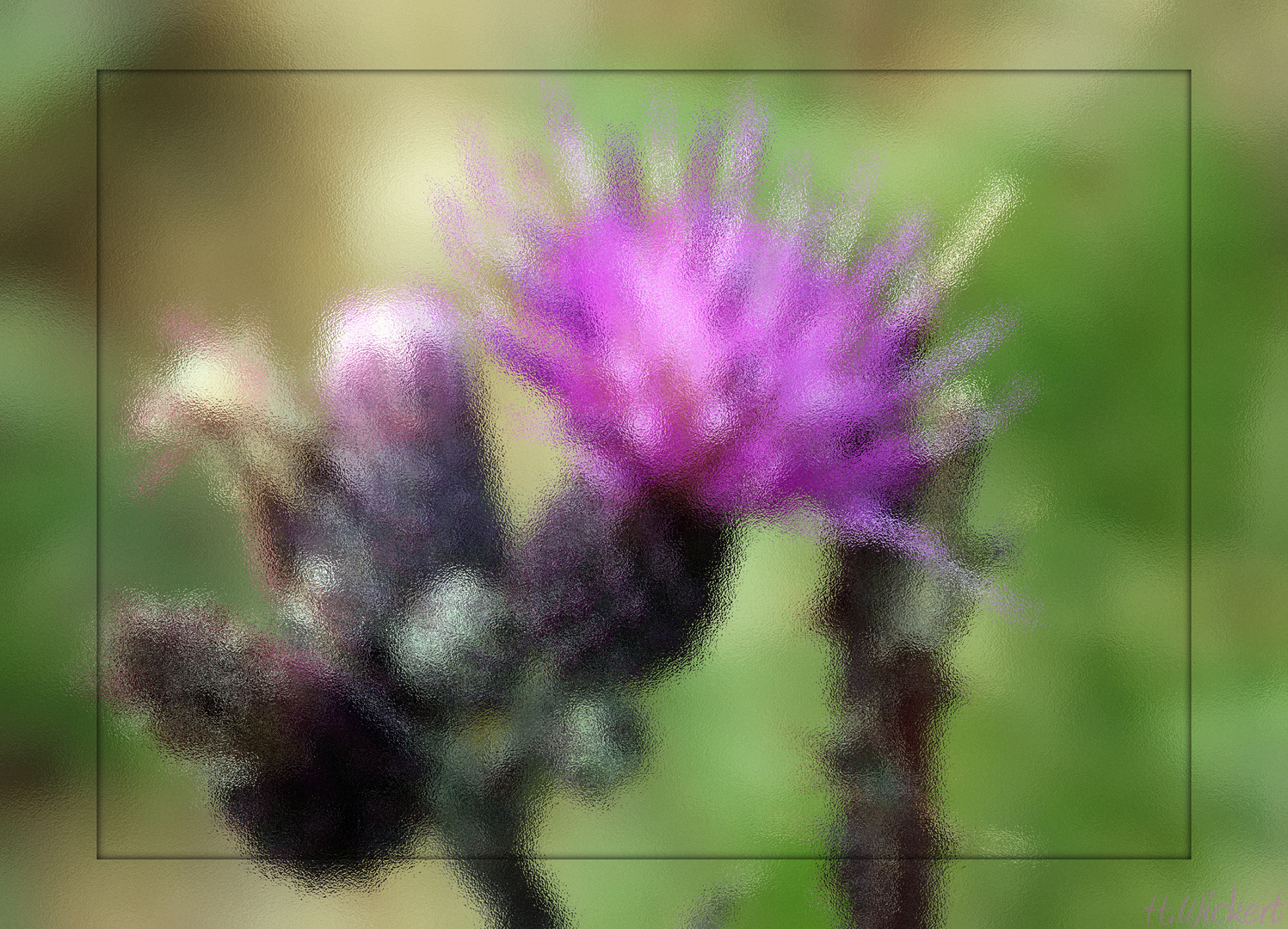 Distel durch Milchglas