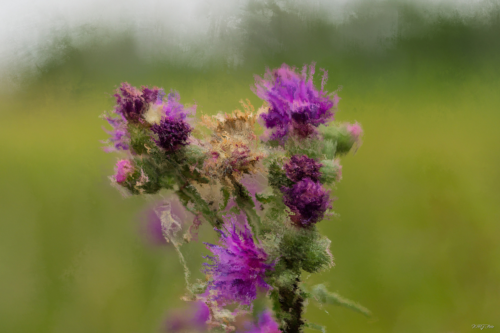 Distel Impression