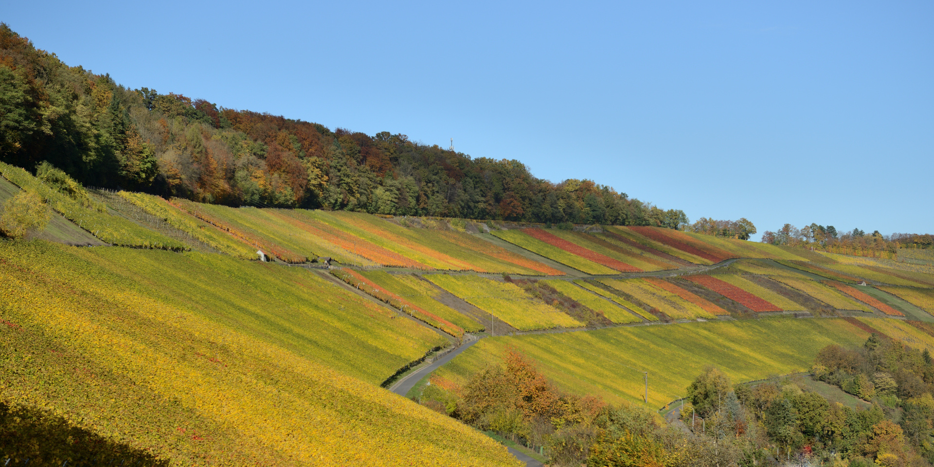 Distelfinkenland