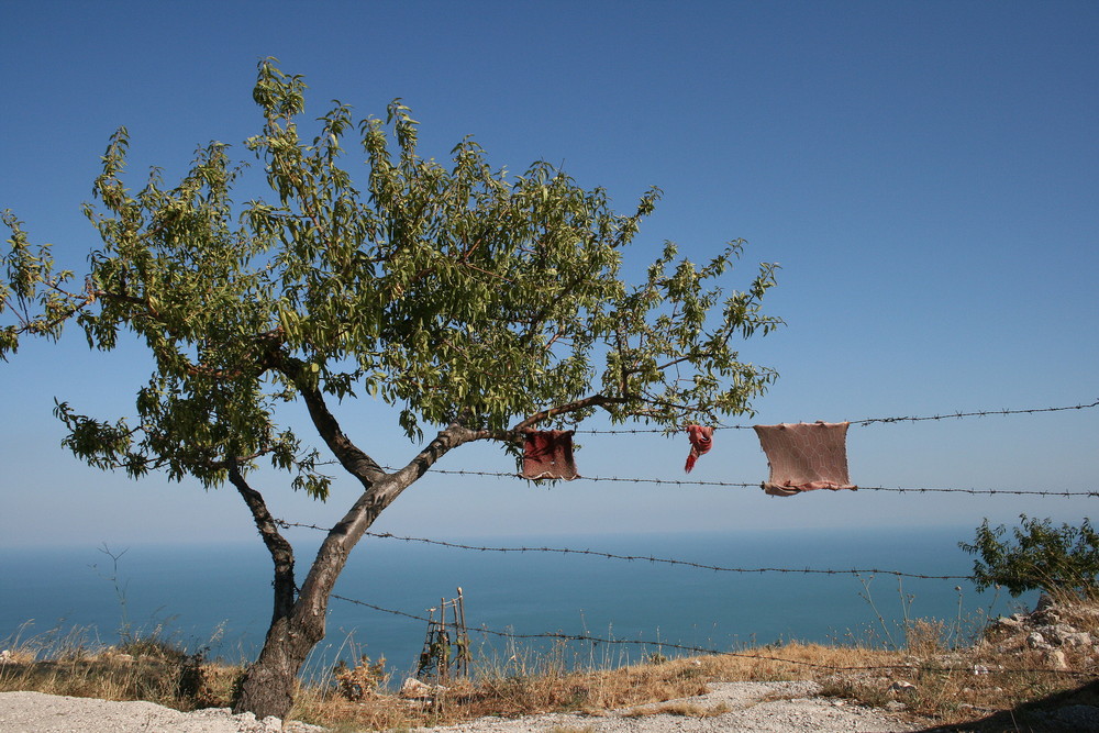 distesi nel cielo