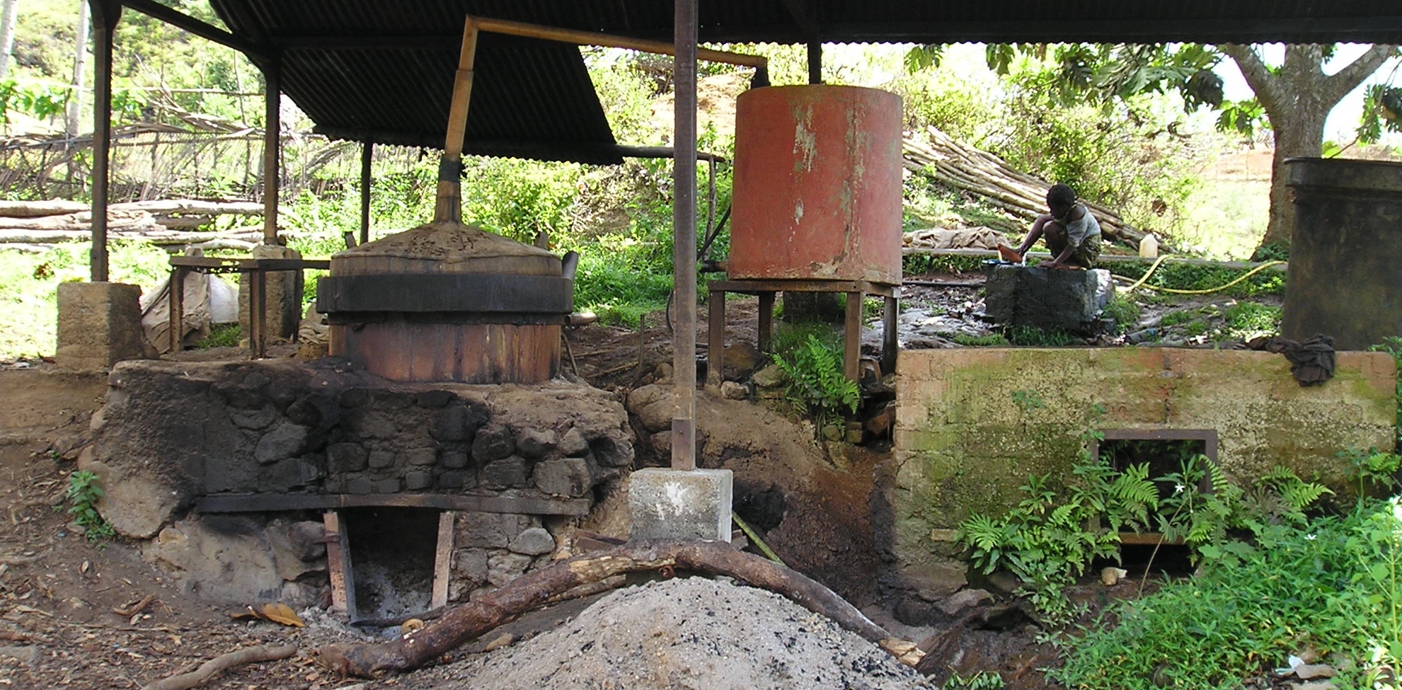 Distilleur d'ylang ylang , Mayotte