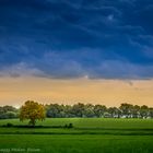 Dithmarschen in Schleswig Holstein. Natur Pur!