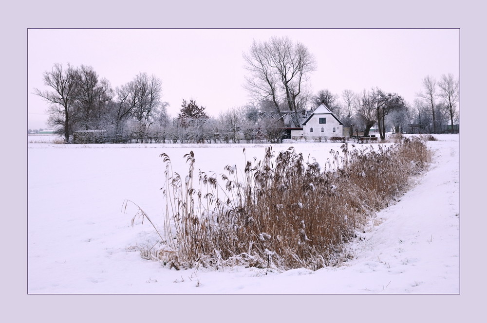 Dithmascher Winteridyll