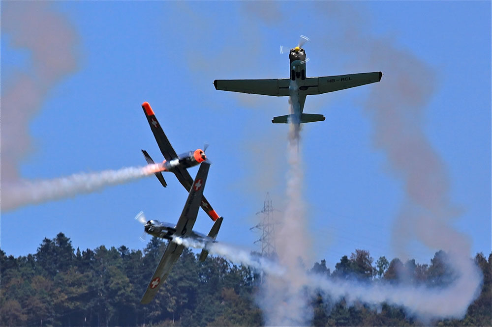 Dittinger Flugtage 2011