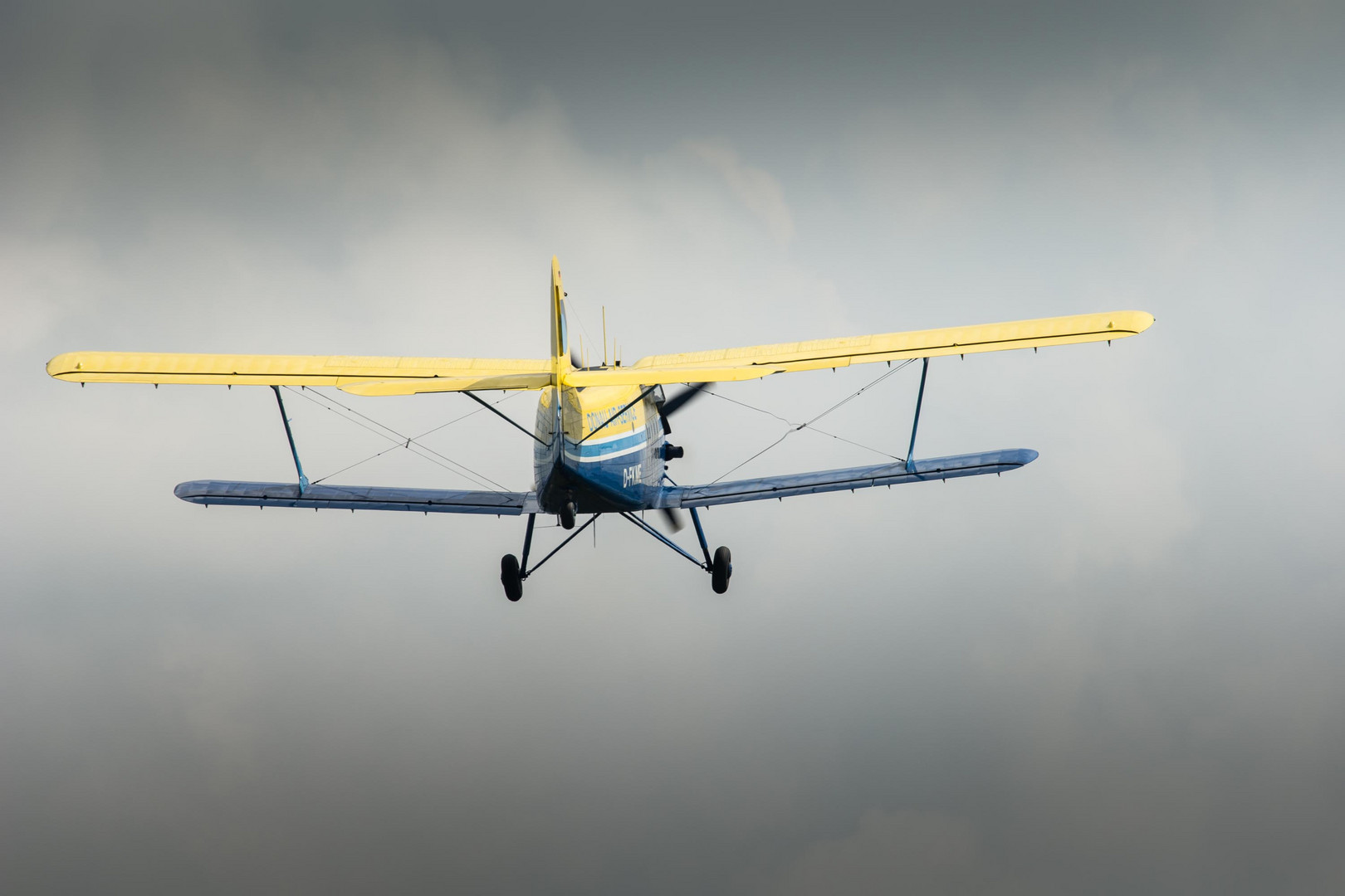 Dittinger Flugtage 2013 / 10