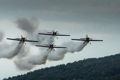 Dittinger Flugtage 2013 / 3