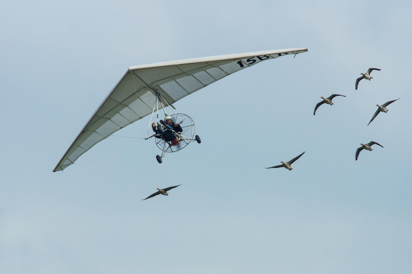 Dittinger Flugtage 2013 / 6