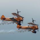 Dittinger Flugtage 2013 / 7