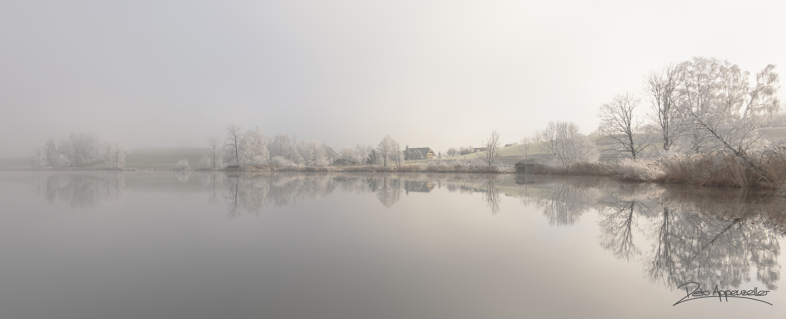 Dittligsee im Nebel