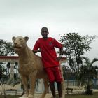User Profile Photo