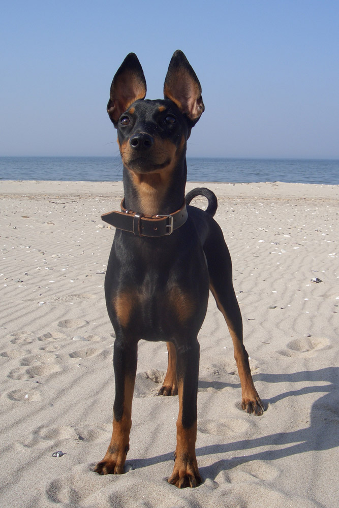 Diva am Strand