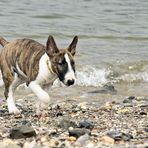 Diva on the beach