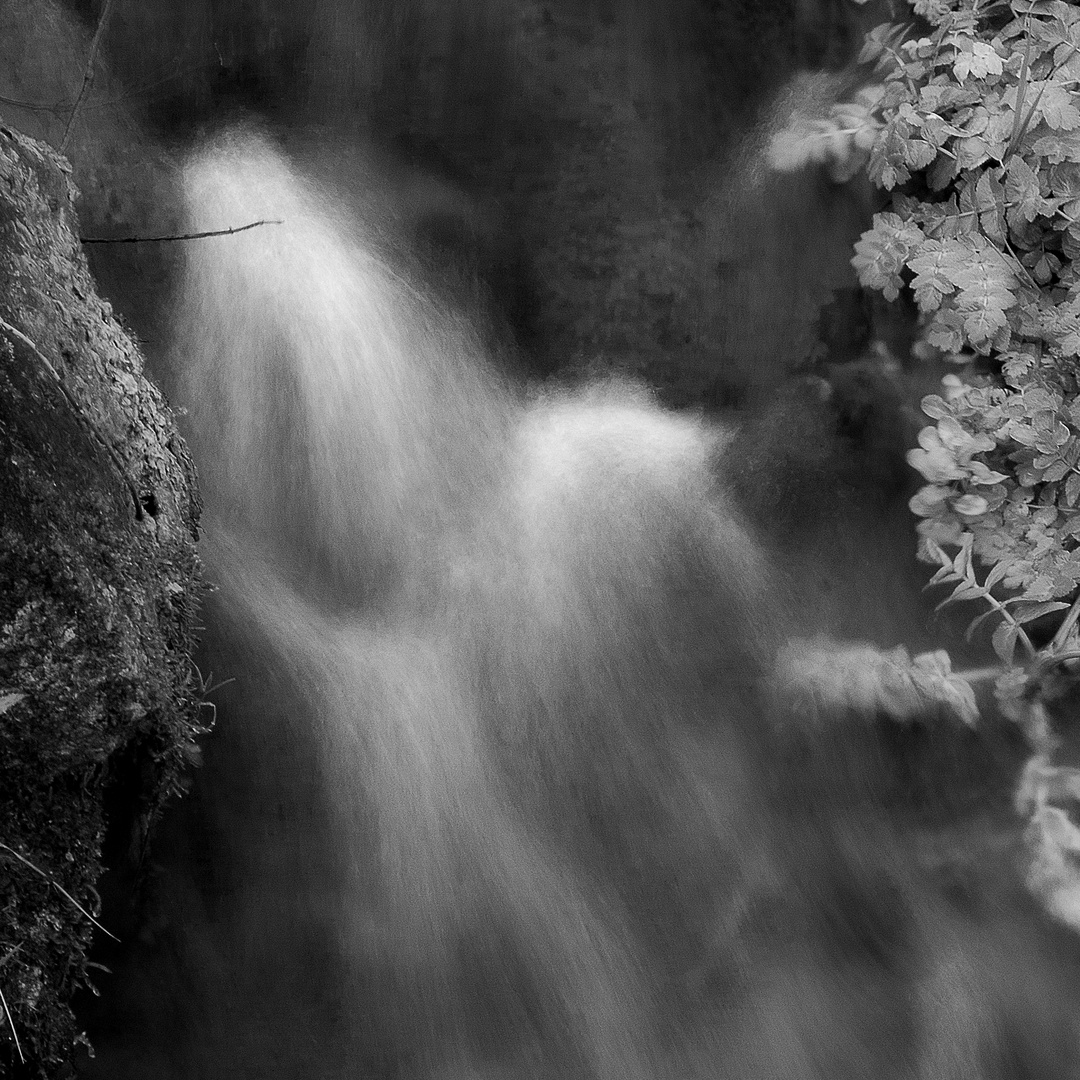 Divagazioni sull'acqua