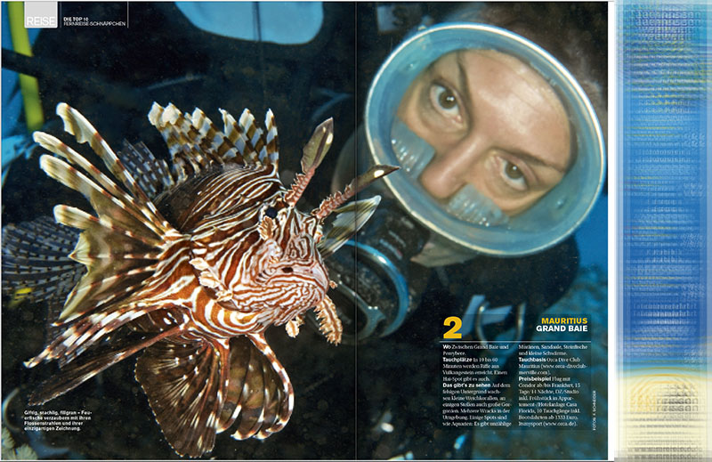 Diver and Lionfish