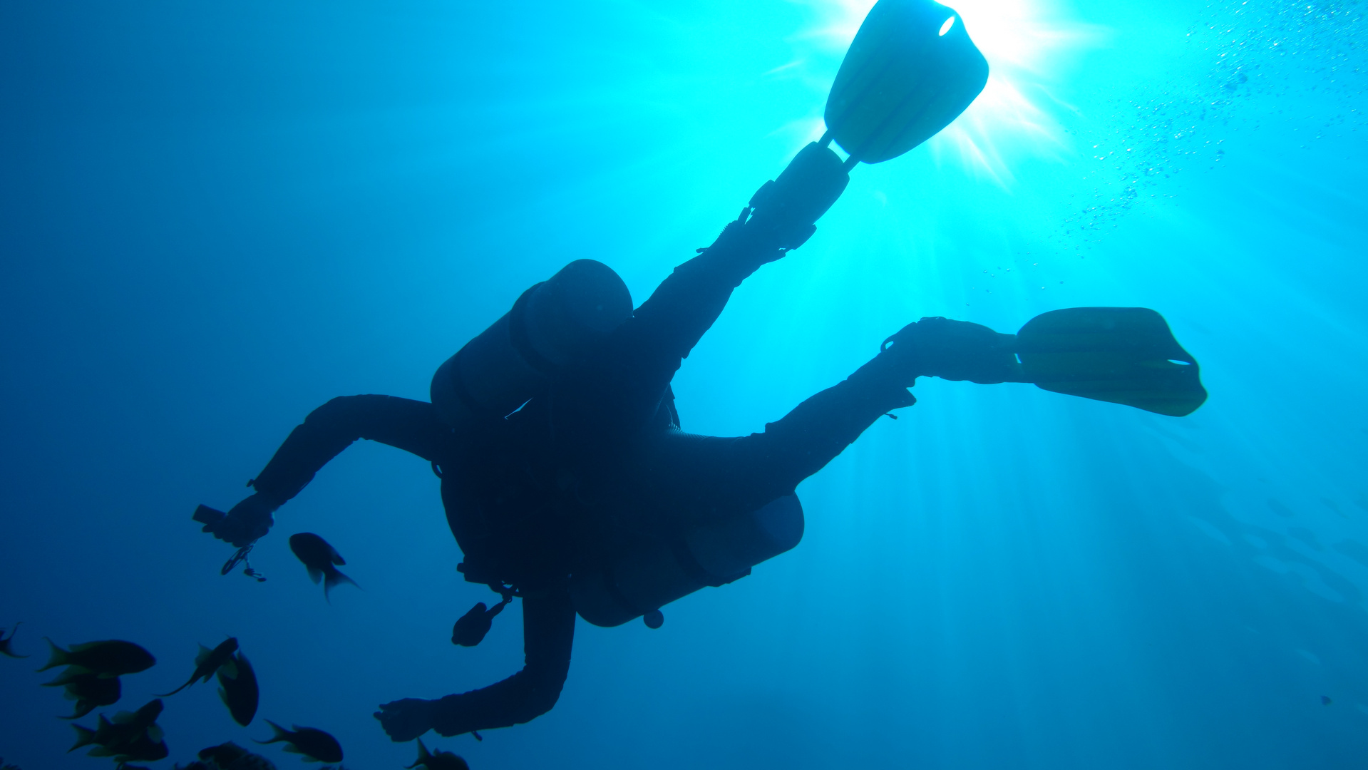 Diver in the blue light