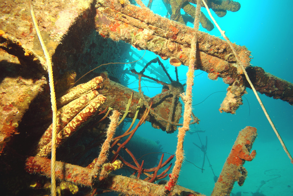 Divers Paradise , Hilma Hooker