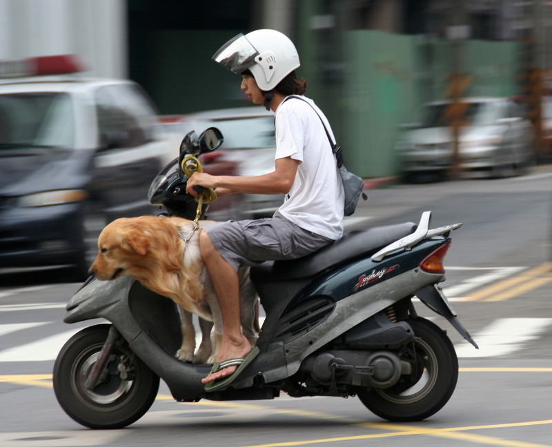 diverses aus Taipei