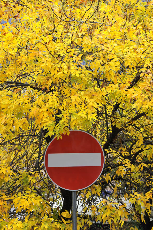 divieto autunnale