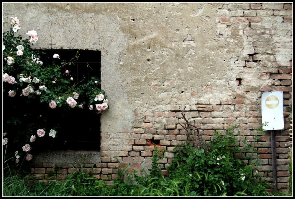 divieto di accesso.... alle erbacce