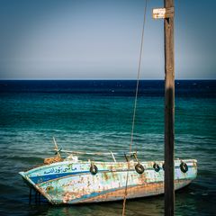 Divieto di pesca ... di ''genere umano''