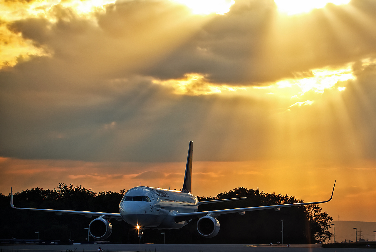 Divine Sharklets