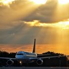 Divine Sharklets